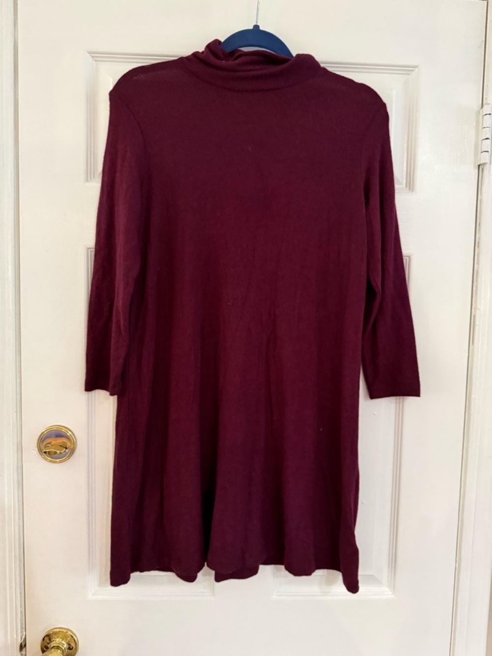 American Eagle Outfitters Burgundy Knit Turtleneck Dress